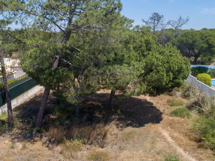 Image No.3-Land for sale