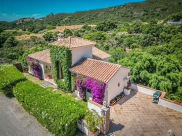 DJI_0168