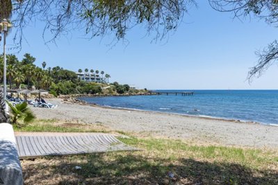 Local Beach