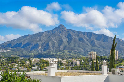 xlargeavxadp2308109089v08139