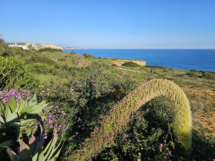 Image No.18-Appartement de 1 chambre à vendre à Lagos