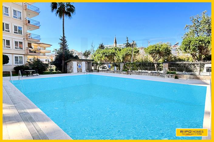 Image No.34-1 Bed Bar for sale