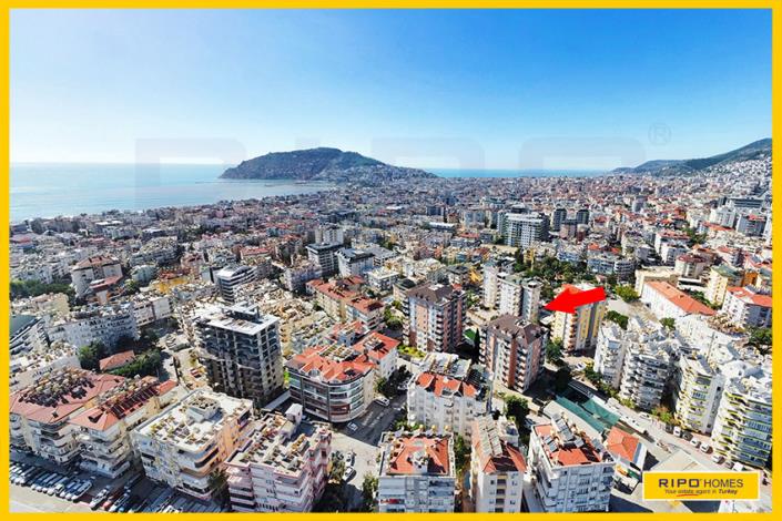 Image No.38-1 Bed Bar for sale