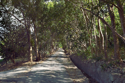 cockade-house-feb-2016-driveway-pano