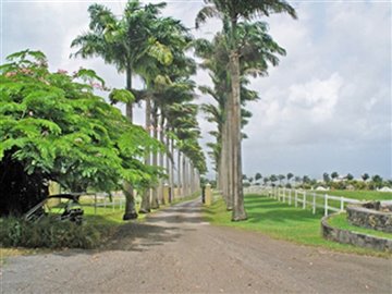 lion-castle-plantation-house-cb000117-2