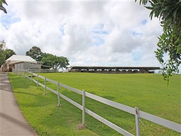 lion-castle-plantation-house-cb000117-3