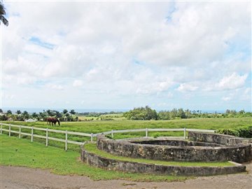 lion-castle-plantation-house-cb000117-3-2