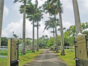 lion-castle-plantation-house-cb000117-4