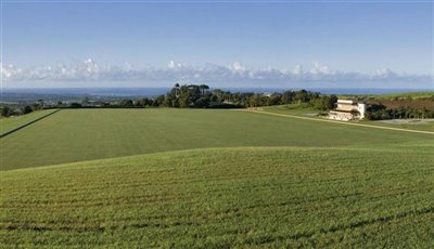 lion-castle-polo-estate-10626-lion-castle-vie