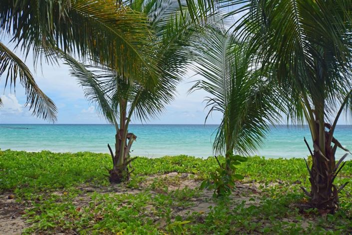 Image No.3-Propriété à vendre à Christ Church