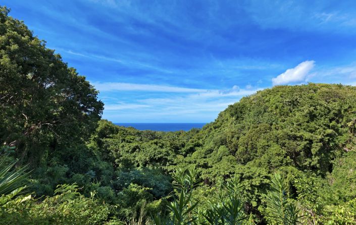 Image No.8-Terre de 5 chambres à vendre à St Peter