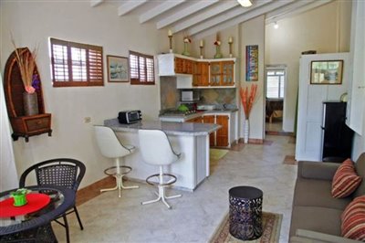 johnsplain-robinsnest-1bedroomapartment-89298