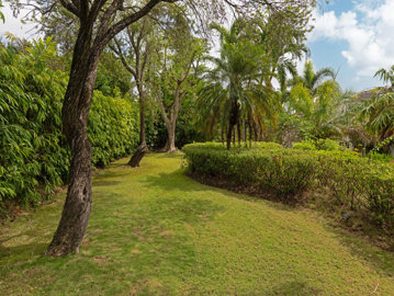 sugarhill-thearrows-bv42857p-936587