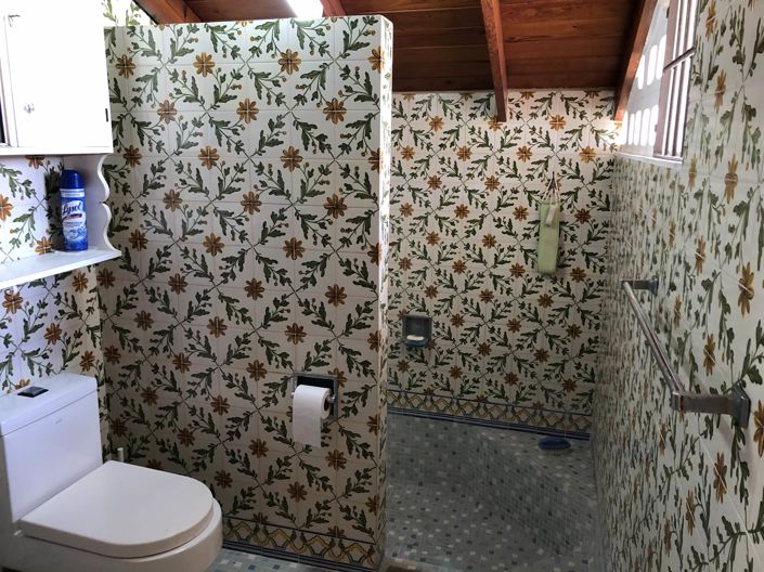 Image No.23-Propriété de 3 chambres à vendre à St James