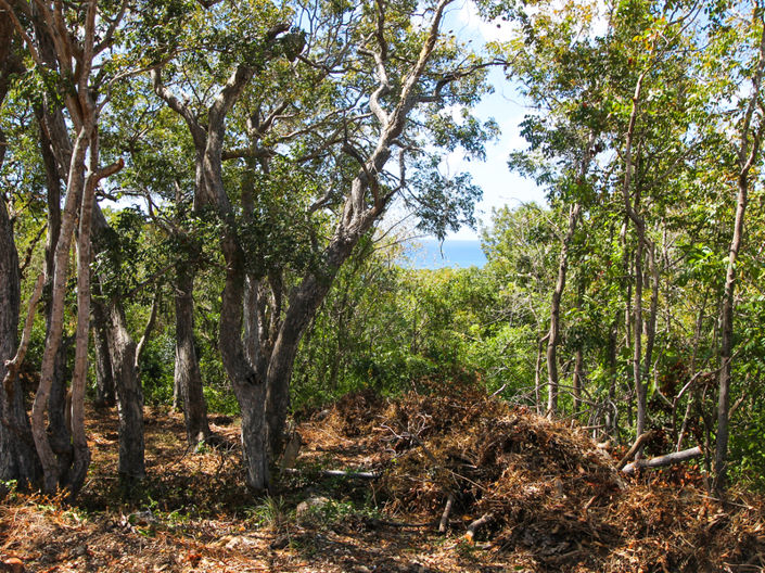 Image No.4-Property for sale