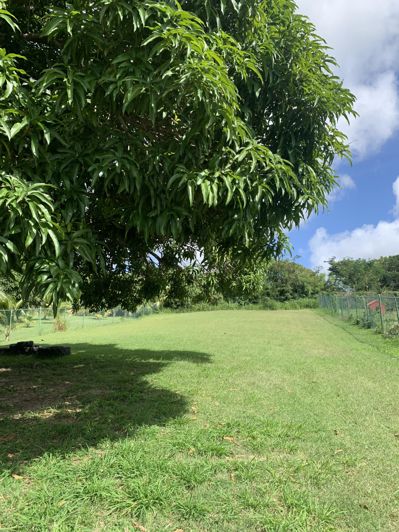 Image No.23-Propriété à vendre à St Peter