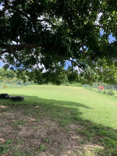 Image No.24-Propriété à vendre à St Peter