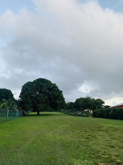 Image No.26-Propriété à vendre à St Peter