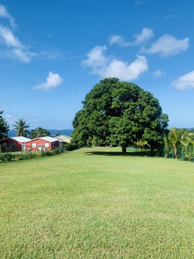 Image No.30-Propriété à vendre à St Peter