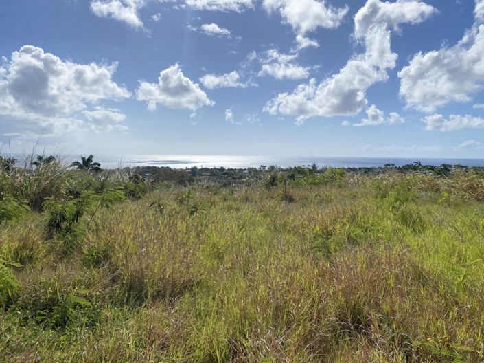 Image No.1-Property for sale