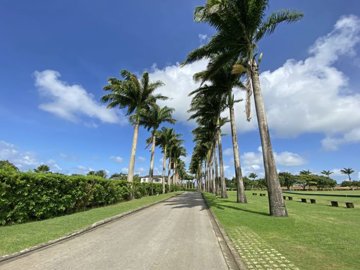 apeshillpoloestatelot33-v47721a-666705