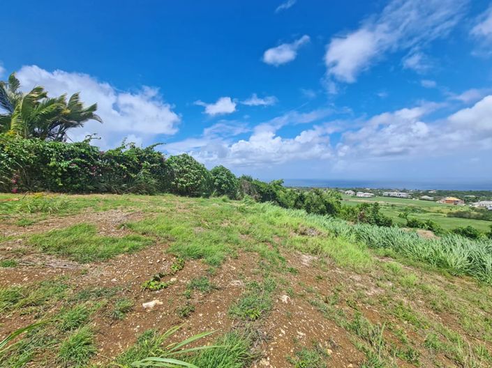 Image No.2-Villa à vendre à St James