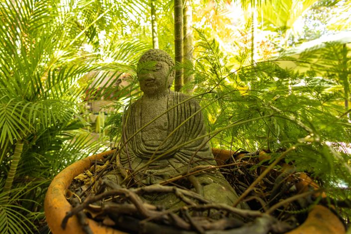 Image No.17-Propriété de 4 chambres à vendre à St Peter