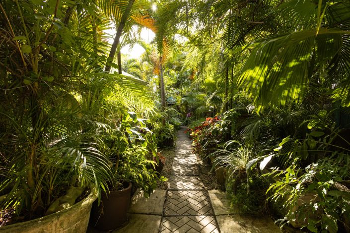 Image No.19-Propriété de 4 chambres à vendre à St Peter