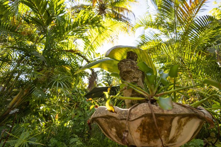 Image No.24-Propriété de 4 chambres à vendre à St Peter