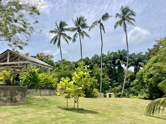 Image No.19-Propriété de 3 chambres à vendre à St James