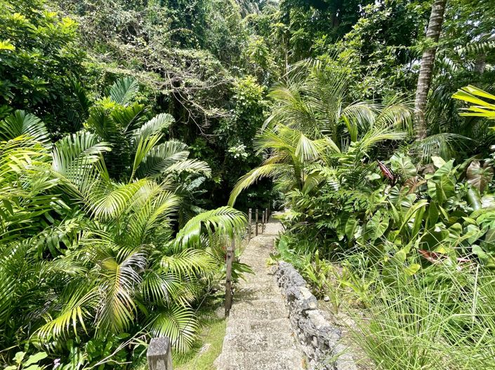 Image No.21-Propriété de 3 chambres à vendre à St James