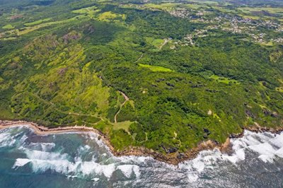 boscobelleplantation-boscobelleplantationslop