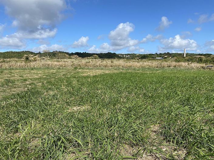 Image No.12-Propriété à vendre à St Peter