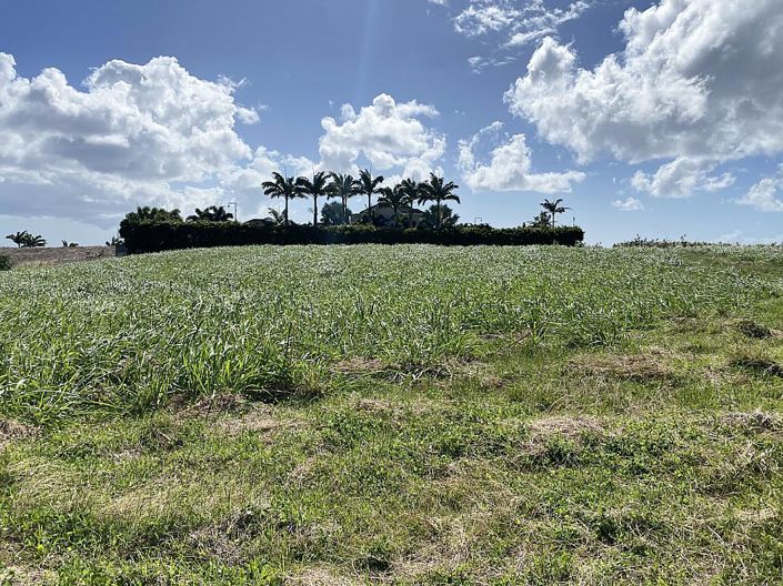 Image No.3-Propriété à vendre à St Peter