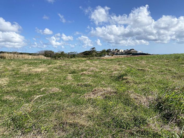 Image No.4-Propriété à vendre à St Peter