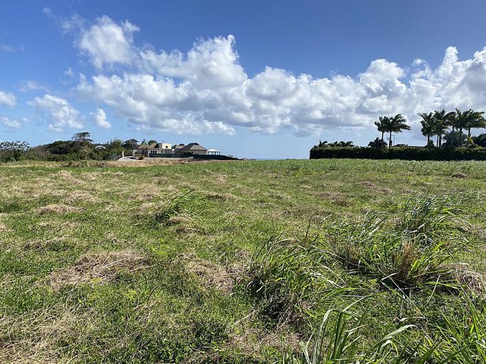 Image No.5-Propriété à vendre à St Peter