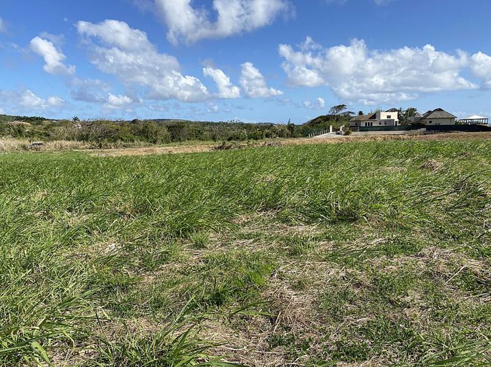 Image No.9-Propriété à vendre à St Peter