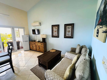 lantana-no13-lantana-13-living-room-478195