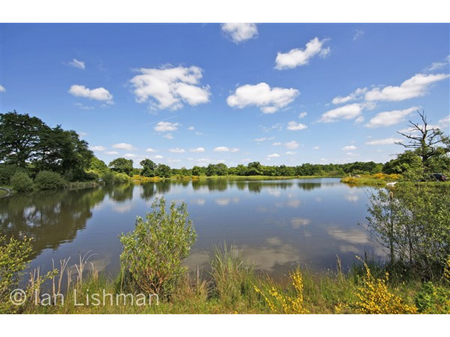 Image No.10-Propriété de 10 chambres à vendre à Confolens