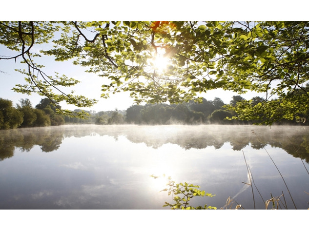 Image No.17-Propriété de 10 chambres à vendre à Confolens