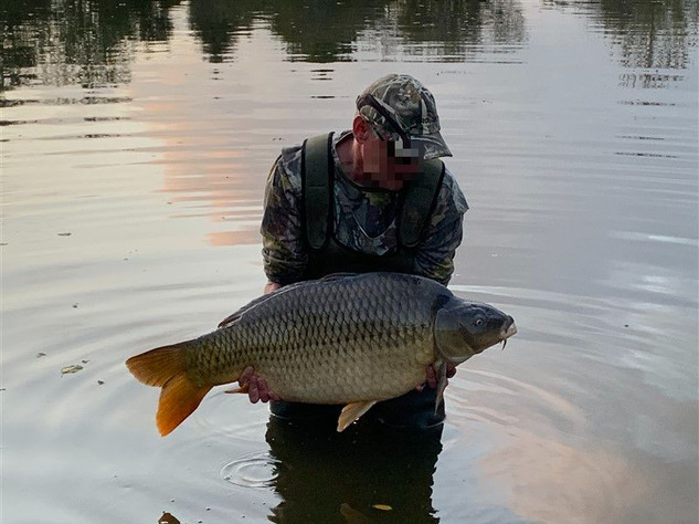 Image No.23-Propriété de 4 chambres à vendre à Confolens