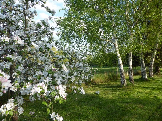 Image No.19-Maison de 4 chambres à vendre à Mézières-sur-Issoire