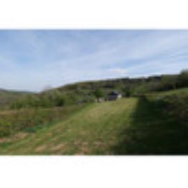 thumbnail-bf23005-21