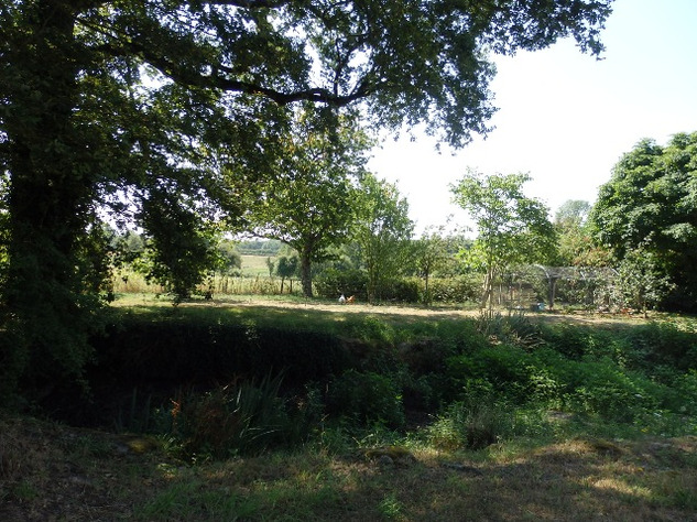 Image No.14-10 Bed Property for sale