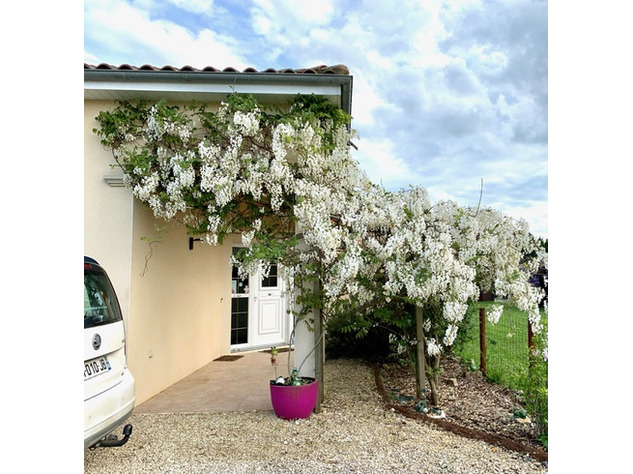 Image No.3-4 Bed Bungalow for sale