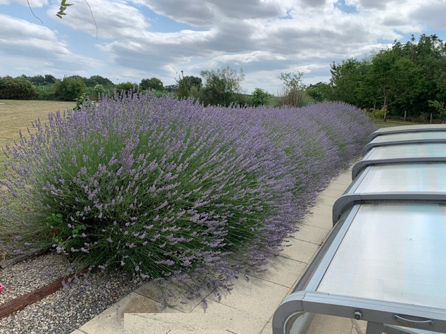 Image No.20-4 Bed Bungalow for sale