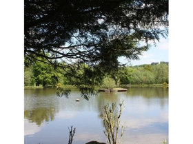 Photo 0