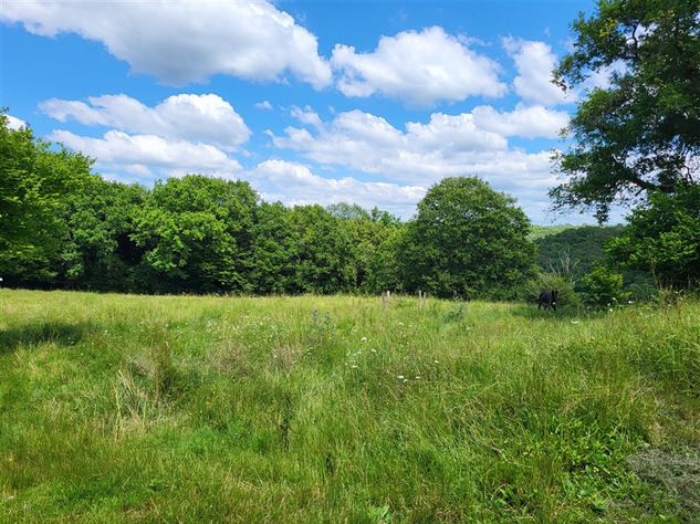 Image No.2-3 Bed House for sale