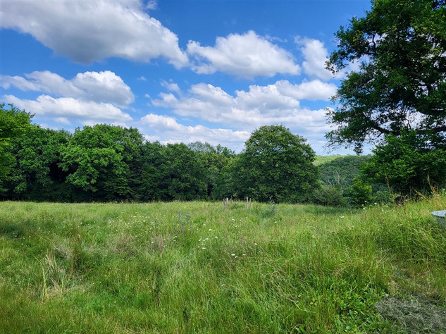 Image No.9-Maison de 3 chambres à vendre à Val-d'Oire-et-Gartempe