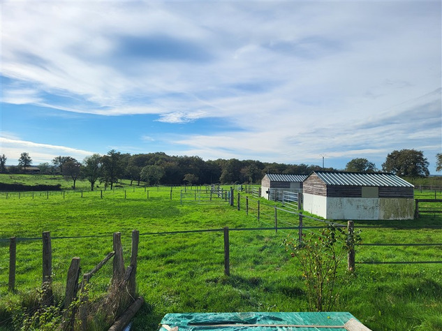 Image No.21-Maison de 3 chambres à vendre à Saint-Léger-Magnazeix